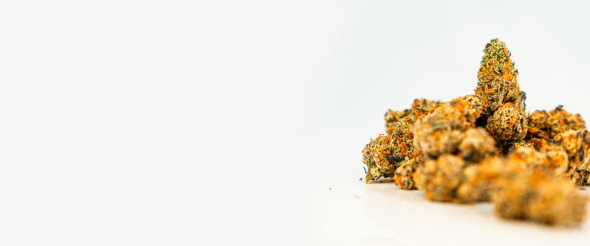 C𖢒NN𖢒BIS ACCESS